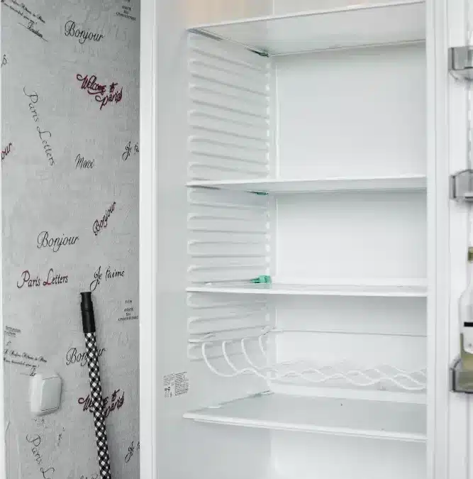 Why Renting a Refrigerator is a Convenient Option