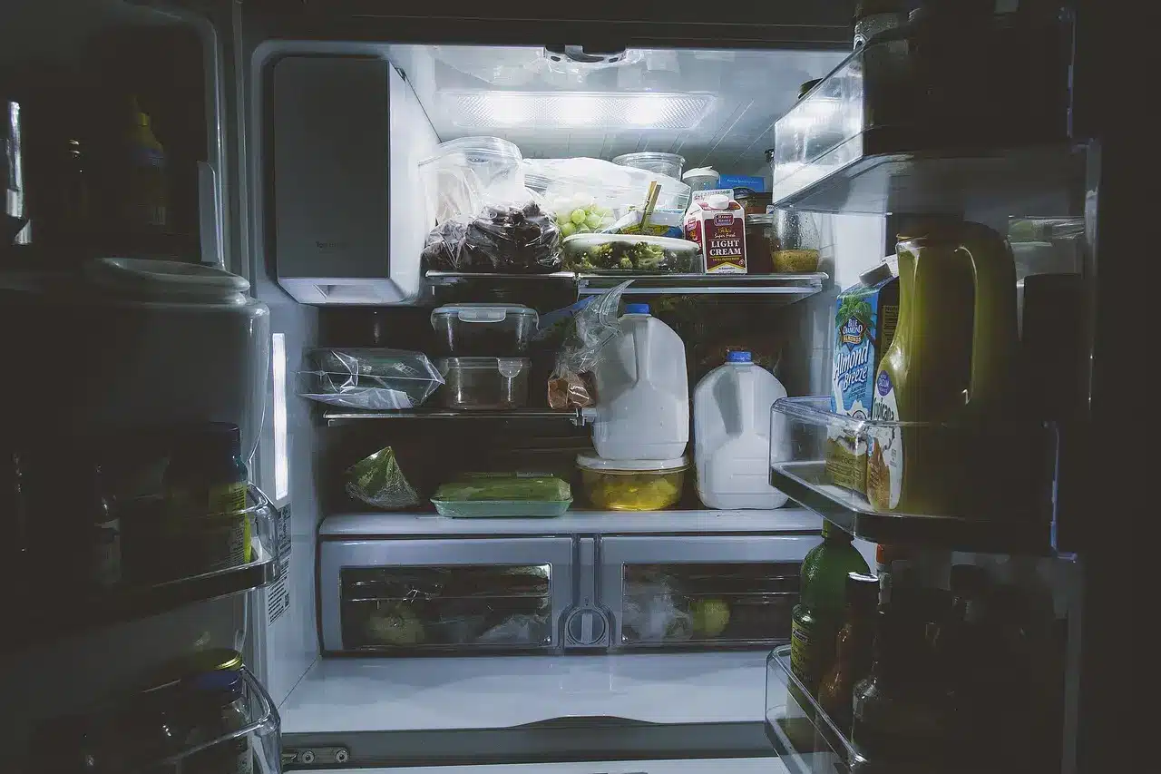 Revolutionize Your Kitchen with the Best Refrigerators of 2024